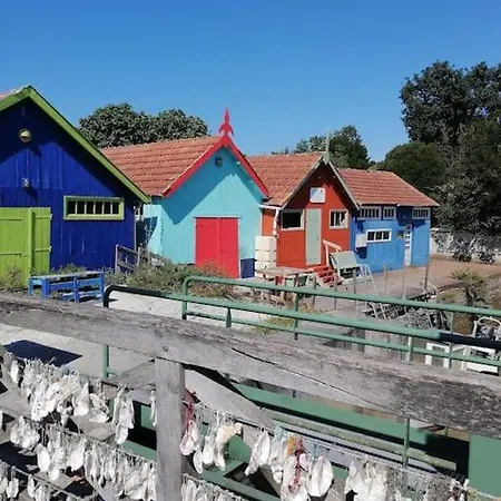 Maison De A D'oleron 펜션 Dolus d'Oléron
