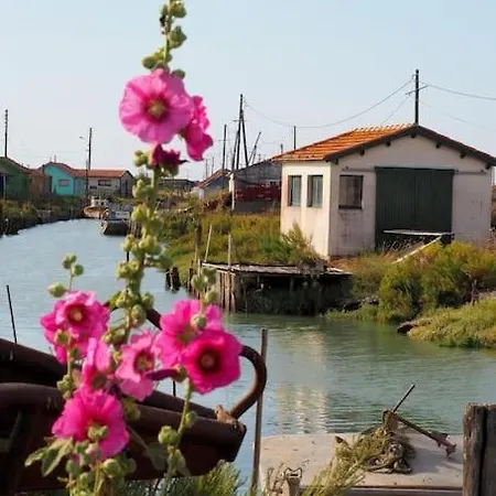 Maison De A D'oleron Dolus d'Oléron